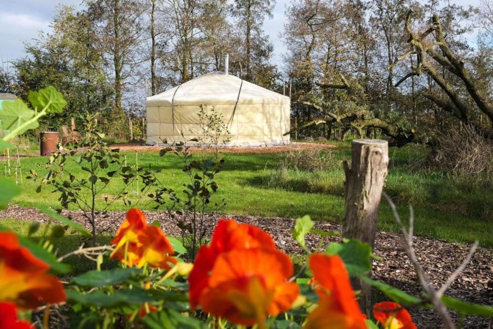 Yurt Klyndobbe Bed and Breakfast Veenwoudsterwal Εξωτερικό φωτογραφία